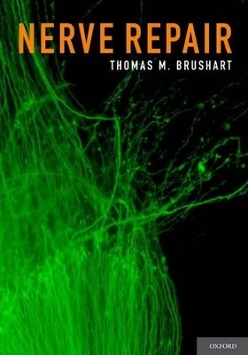 Nerve Repair -  Thomas M. Brushart