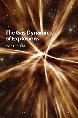 The Gas Dynamics of Explosions - John H. S. Lee
