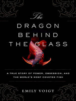 The Dragon Behind the Glass - Emily Voigt