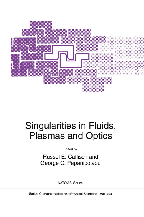 Singularities in Fluids, Plasmas and Optics - 