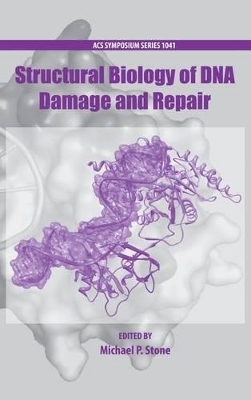 Structural Biology of DNA Damage and Repair - 