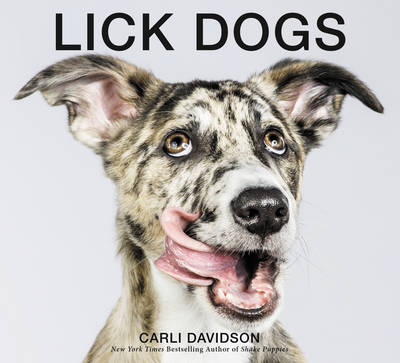 Lick Dogs - Carli Davidson