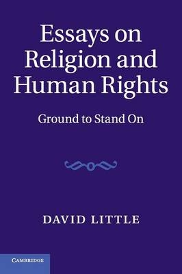 Essays on Religion and Human Rights - David Little