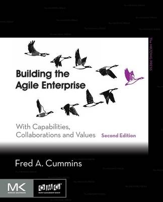 Building the Agile Enterprise - Fred A. Cummins