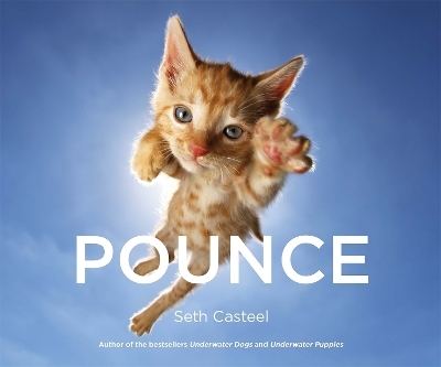 Pounce - Seth Casteel