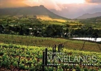 Picturesque Winelands - Tanya Farber