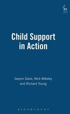 Child Support in Action - Gwynn Davis, Nicholas Wikeley, Richard Young