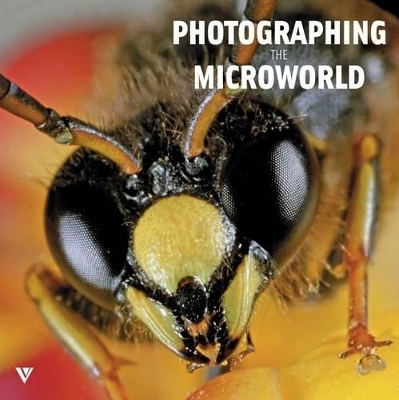 Photographing Microworld - Svetlana Belorustseva, Andrei Sochivko