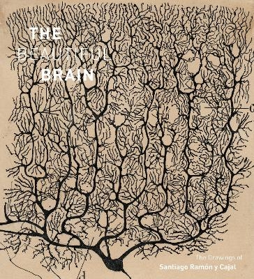 The Beautiful Brain - Larry Swanson, Eric Newman, Alfonso Araque