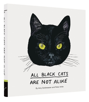 All Black Cats are Not Alike - Amy Goldwasser
