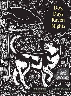 Dog Days, Raven Nights - John M. Marzluff, Colleen Marzluff