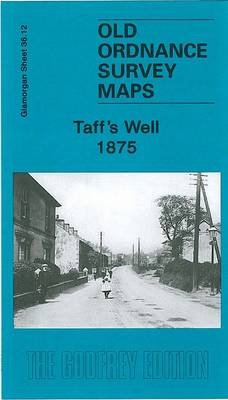 Taff's Well 1875 - Derrick Pratt