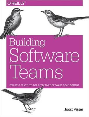Building Software Teams - Joost Visser, Sylvan Rigal, Gijs Wijnholds, Zeeger Lubsen