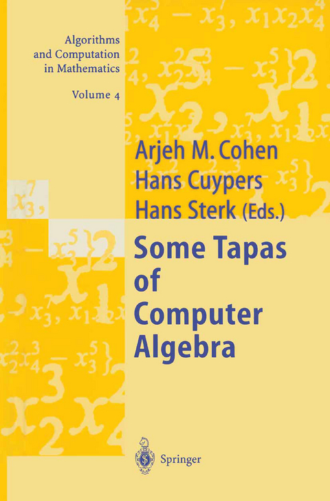 Some Tapas of Computer Algebra - 