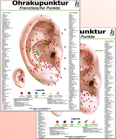 Ohrakupunktur Poster-Set: chinesiche + französische Ohrakupunktur / 2 Poster DIN A2 - 