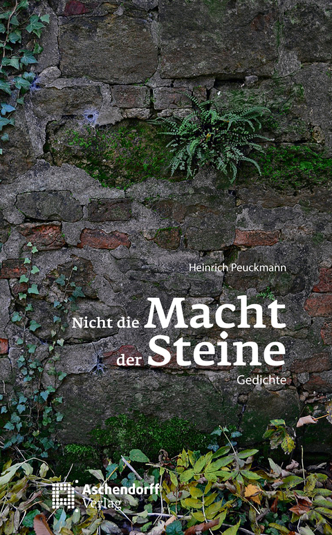 Nicht die Macht der Steine - Heinrich Peuckmann