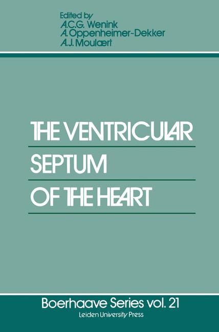 The Ventricular Septum of the Heart - 