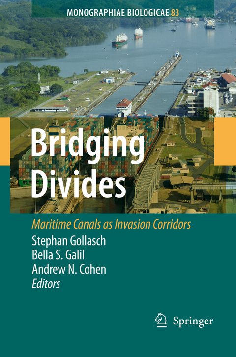 Bridging Divides - 