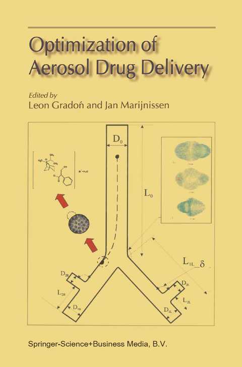 Optimization of Aerosol Drug Delivery - 