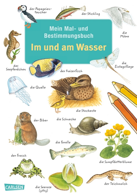 Mein Mal- und Bestimmungsbuch - Im und am Wasser - Imke Rudel