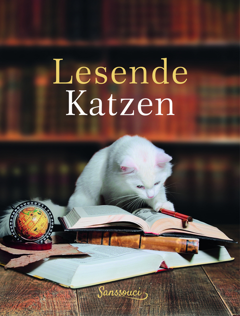 Lesende Katzen - Romy Thiele