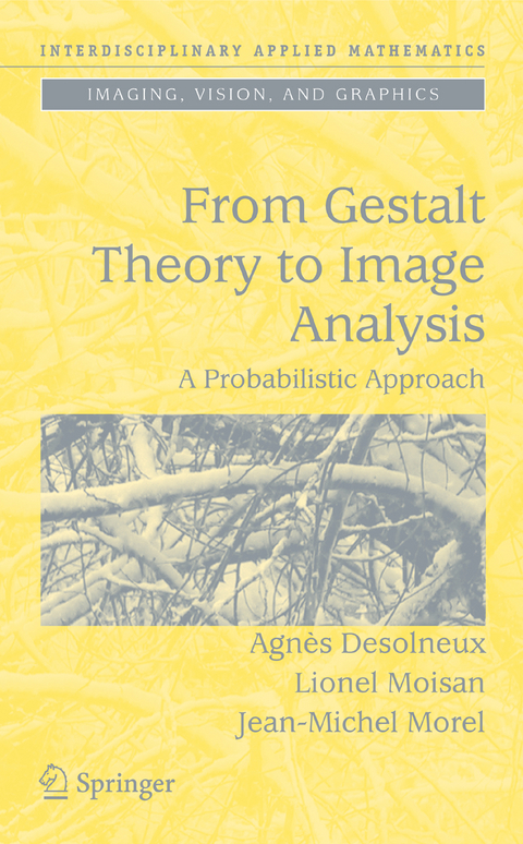 From Gestalt Theory to Image Analysis - Agnès Desolneux, Lionel Moisan, Jean-Michel Morel