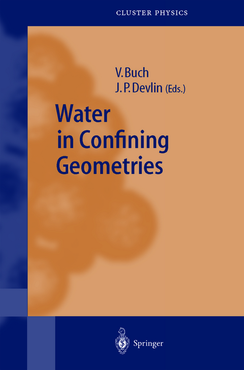 Water in Confining Geometries - 