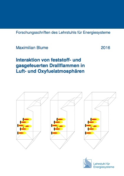 Interaktion von feststoff- und gasgefeuerten Drallflammen in Luft- und Oxyfuelatmosphären - Maximilian Blume