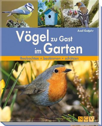 Vögel zu Gast im Garten - Axel Gutjahr