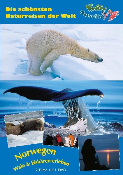 Norwegen - Wale und Eisbären erleben
