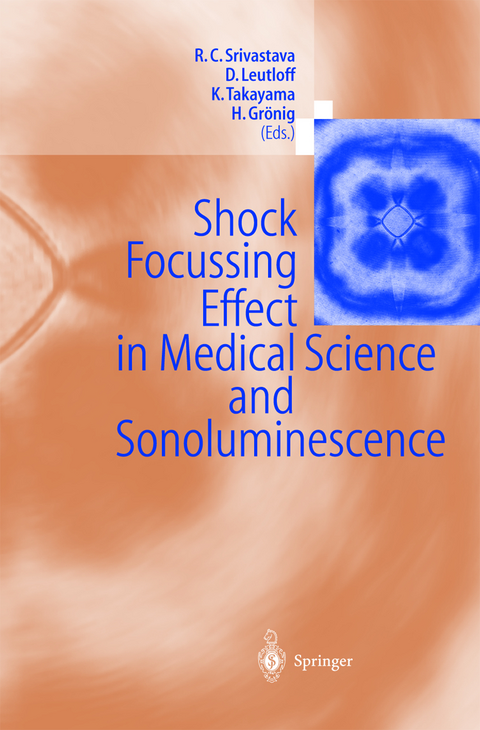 Shock Focussing Effect in Medical Science and Sonoluminescence - 