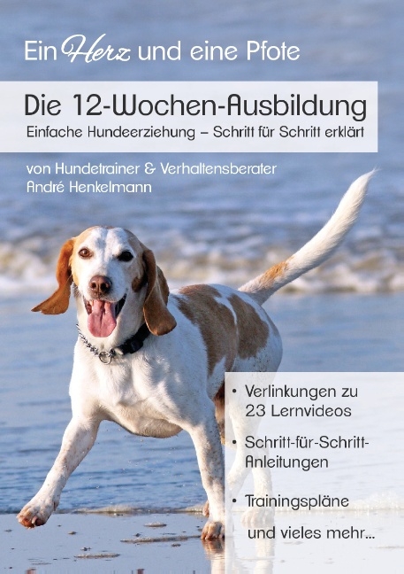 Die 12-Wochen-Ausbildung - André Henkelmann