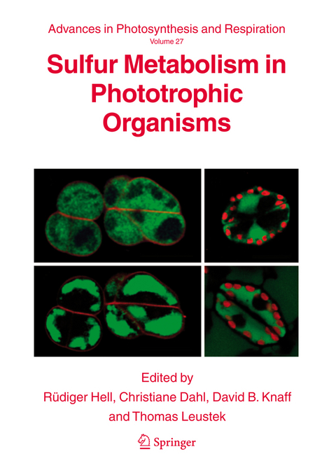 Sulfur Metabolism in Phototrophic Organisms - 