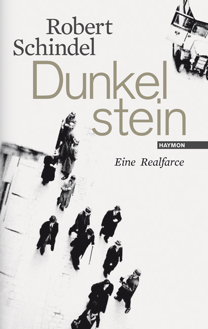 Dunkelstein - Robert Schindel