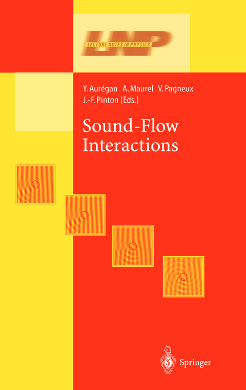 Sound-Flow Interactions - 