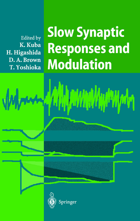 Slow Synaptic Responses and Modulation - 