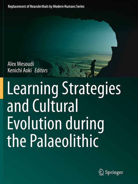 Learning Strategies and Cultural Evolution during the Palaeolithic - 