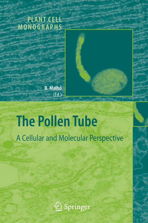 The Pollen Tube - 