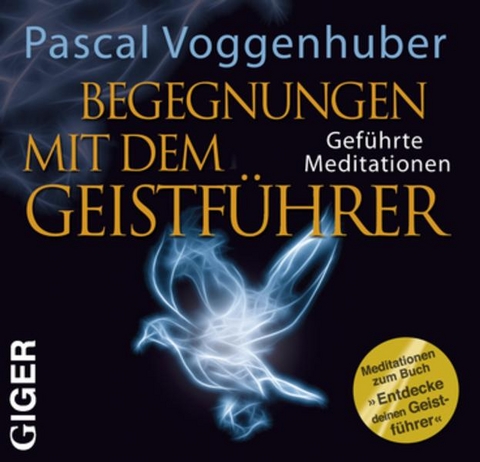 Begegnung mit dem Geistführer - Pascal Voggenhuber