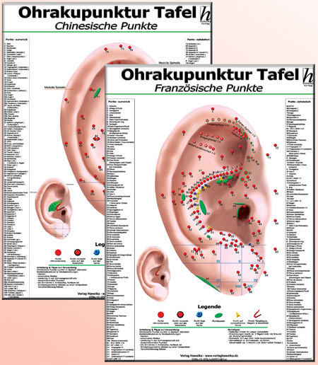 Ohrakupunktur Tafel-Set: chinesiche + französische Ohrakupunktur / 2 Tafeln - 