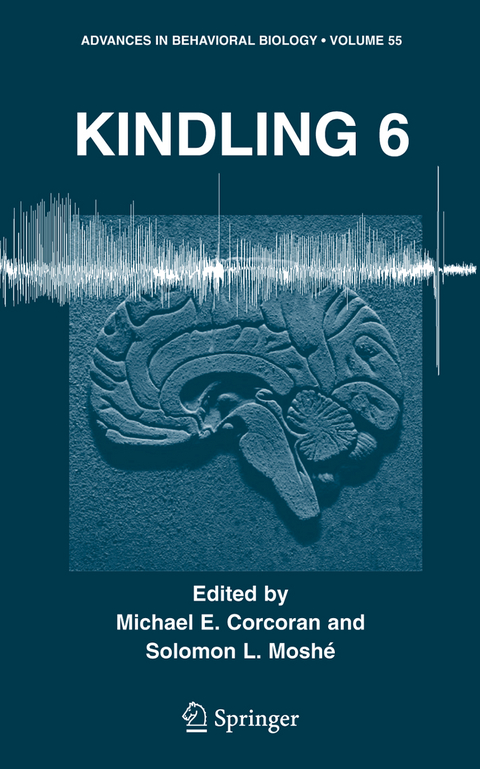 Kindling 6 - 