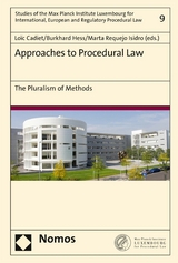 Approaches to Procedural Law - 