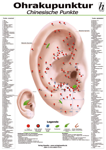 Ohrakupunktur Mini-Poster - chinesische Punkte DIN A4 - 