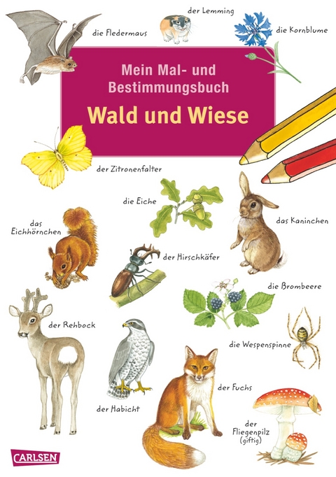 Mein Mal- und Bestimmungsbuch - Wald und Wiese - Imke Rudel