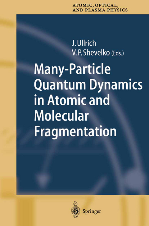 Many-Particle Quantum Dynamics in Atomic and Molecular Fragmentation - 