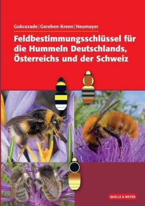 Feldbestimmungsschlüssel für die Hummeln Deutschlands, Österreichs und der Schweiz - Joseph Gokcezade, Barbara-Amina Gereben-Krenn, Johann Neumayer
