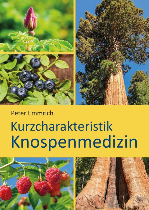 Kurzcharakteristik Knospenmedizin - Peter Emmrich