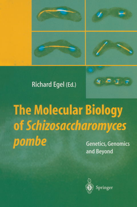 The Molecular Biology of Schizosaccharomyces pombe - 