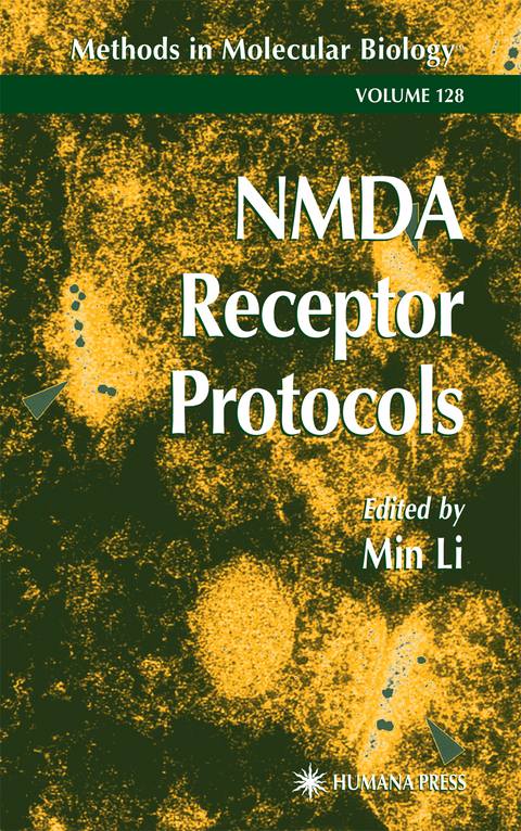 NMDA Receptor Protocols - 