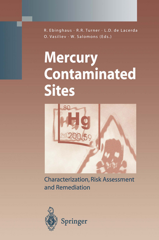 Mercury Contaminated Sites - Ralf Ebinghaus; Ralph R. Turner; Luiz D. de Lacerda; O. Vasiliev; Wim Salomons